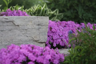 Crimson Valley Landscaping - Landscape Maintenance in Rockford, IL