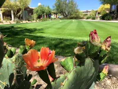 Sustainable Landscape Services Inc - Landscape Construction in Phoenix, AZ