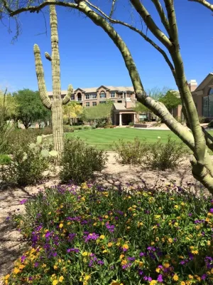 Sustainable Landscape Services Inc - Landscape Construction in Phoenix, AZ