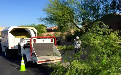 Sustainable Landscape Services Inc - Landscape Construction in Phoenix, AZ