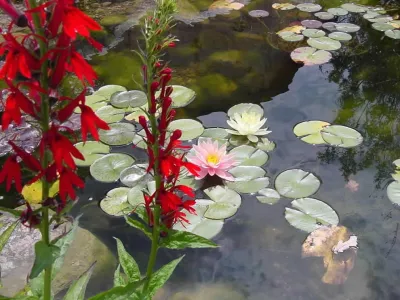 Cross Points Landscaping - Garden Remodeling in Indianapolis, IN