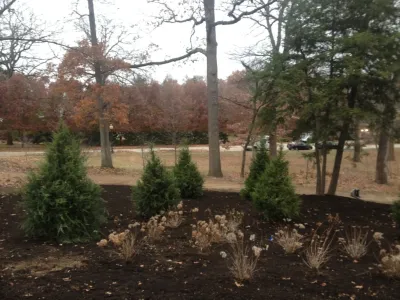 TerraScape Landscape Constructors - Landscape Construction in Wentzville, MO