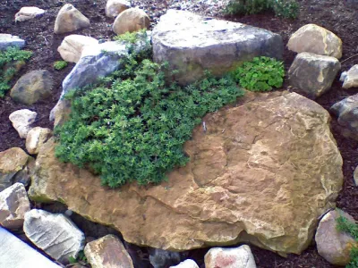 Crystal Pools LLC - Garden Remodeling in Columbia, SC