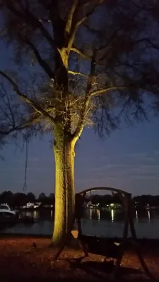 Edgewater - Major Lighting Renovation — Landscape Construction project by The Landscape Design Center
