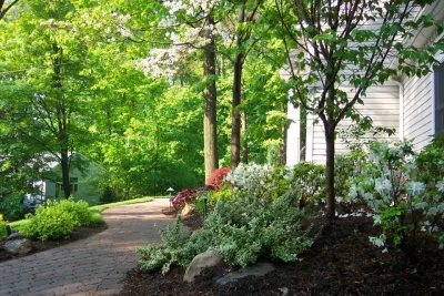 CST Design Group LLC - Outdoor Lighting Installation in Tennent, NJ