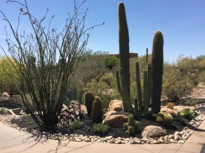 Thomas Cary Design, LLP - Landscape Construction in Phoenix, AZ