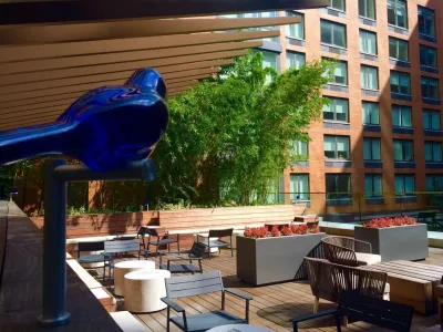 Gotham West — Landscape Design project by PFI - Plant Fantasies, Inc