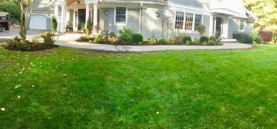 Curbs Studio - Tree Planting & Transplanting in Wellesley, MA