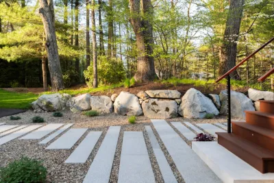Curbs Studio - Tree Planting & Transplanting in Wellesley, MA