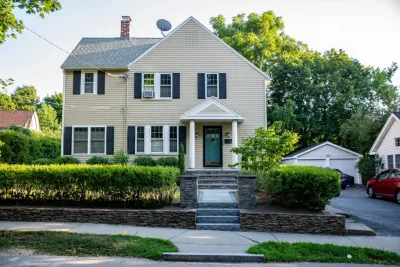 Curbs Studio - Tree Planting & Transplanting in Wellesley, MA
