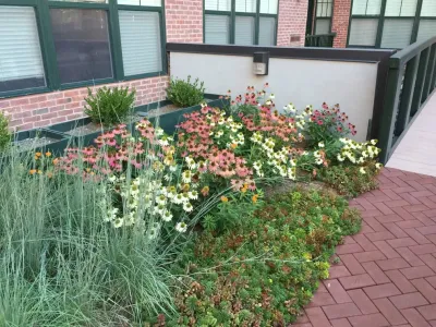 Town & Country Landscape Management, LLC - Landscape Construction in Greenwich, CT