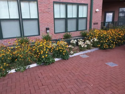 Town & Country Landscape Management, LLC - Landscape Construction in Greenwich, CT
