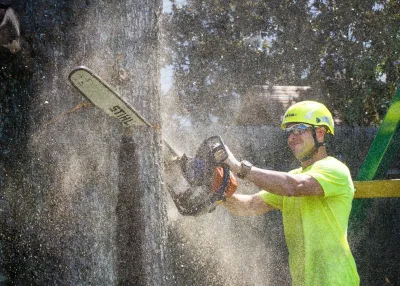 Tree Man Inc. - Landscape Construction in New Orleans, LA