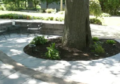 Turf & Landscape Inc - Landscape Construction in Sumner, IA