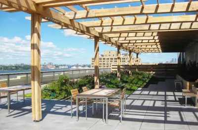 250 Hudson Street — Landscape Design project by PFI - Plant Fantasies, Inc