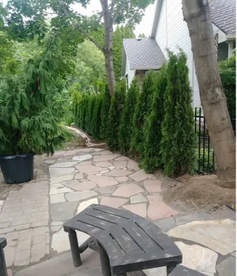 Sal & Kelly's Lawn Maintenance - Landscape Construction in Boise, ID