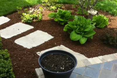 Salinas Landscaping Inc. - Landscape Construction in West Chicago, IL
