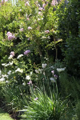 CV Landscape Studio - Landscape Design in Laguna Beach, CA