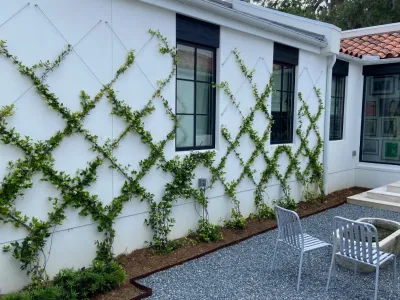 San Marco — Landscape Design project by Cynthia Burns Landscape Design in Jacksonville