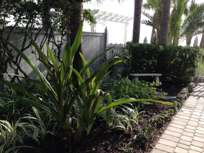 Beach Front Beauty — Landscape Design project by Cynthia Burns Landscape Design in Jacksonville
