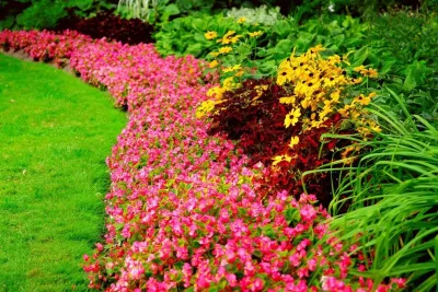 U & V Landscaping Services - Landscape Construction in 