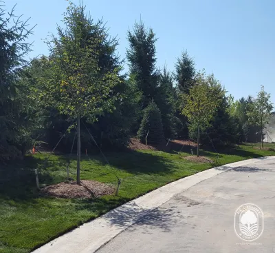 D.A. Alexander & Company, Inc. - Landscape Maintenance in Livonia, MI