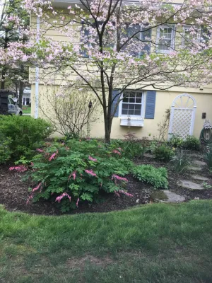 Dabah Landscape Designs - Garden Remodeling in Randolph, NJ