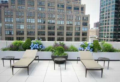 PFI - Plant Fantasies, Inc - Landscape Maintenance in New York, NY