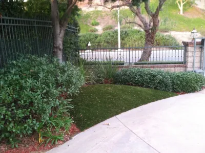 Save Pro Turf - Landscape Construction in Corona, CA