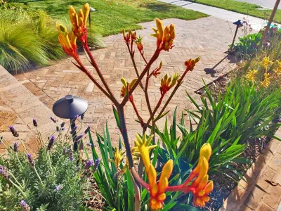 Sean Landscape Construction - Landscape Construction in Irvine, CA