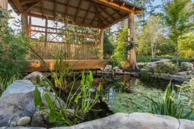 Backyard - Japanese Garden by DabneyCollins