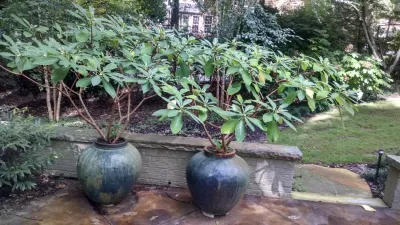 Reclaimed Foundation Garden - Greenville, SC — Landscape Design project by DabneyCollins