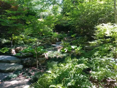 Intown Oasis — Landscape Design project by DabneyCollins in Greenville