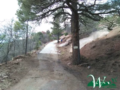 Wright Tree, Lawn & Landscape Care - Landscape Construction in Colorado Springs, CO