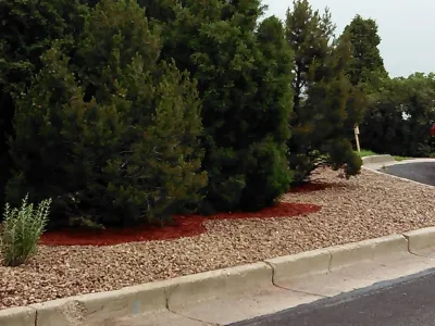 Wright Tree, Lawn & Landscape Care - Landscape Construction in Colorado Springs, CO
