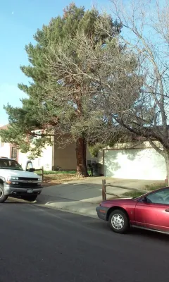 Tree Services — Landscape Construction project by Wright Tree, Lawn & Landscape Care