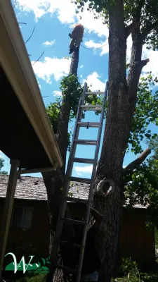 Wright Tree, Lawn & Landscape Care - Landscape Construction in Colorado Springs, CO