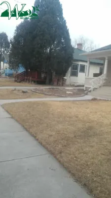 Wright Tree, Lawn & Landscape Care - Landscape Construction in Colorado Springs, CO