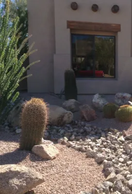 Wshomemaintenance - Landscape Construction in Mesa, AZ