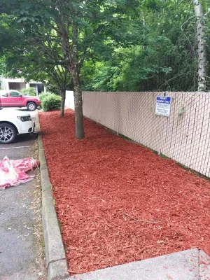 Yard Slayerz Creationz LLC - Landscape Construction in Las Vegas, NV