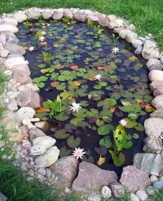 Dana Pacific Landscape - Sprinkler Installation & Repair in Dana Point, CA