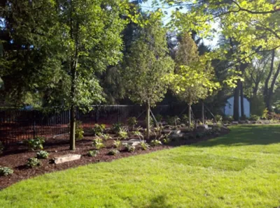 D&B Landscaping - Tree & Shrub Care in Livonia, MI