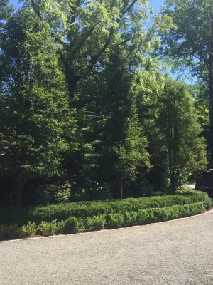 Daniel Richards Design - Garden Remodeling in New York, NY