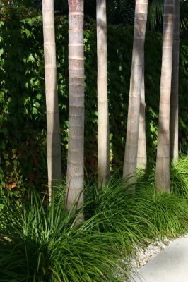 Daniel Richards Design - Garden Remodeling in New York, NY