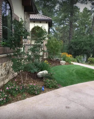 Daniel's Landscape & Design, LLC - Patio Design & Installation in Aurora, CO
