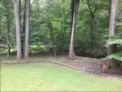 Vin's Total Care Landscaping, LLC - Landscape Construction in Catonsville, MD
