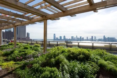 PFI - Plant Fantasies, Inc - Landscape Maintenance in New York, NY