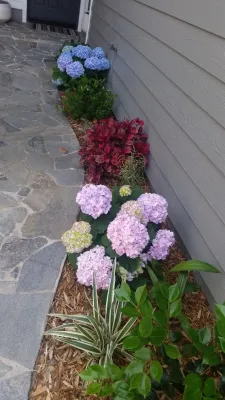 WestPro Landscape, Inc. - Landscape Construction in Carlsbad, CA