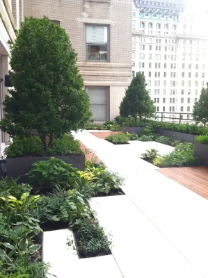 Irving Place Capital Office Terrace — Landscape Design project by PFI - Plant Fantasies, Inc