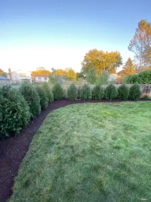 Whitetail Landscapes Inc. - Landscape Construction in Cary, IL